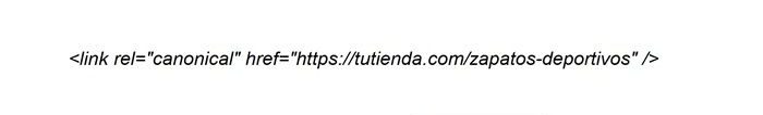 ejemplo que es etiqueta canonical e1699964596107