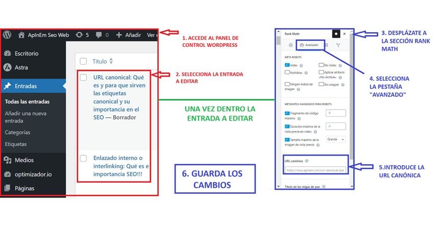 introducir url canonical SEO